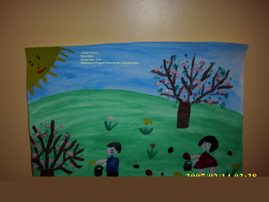 71_Sipos Diana_Gr 1 Somc M.jpg